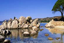 kaiyun app-包含ぺ?h.h?ｂ徣-kaiyun app